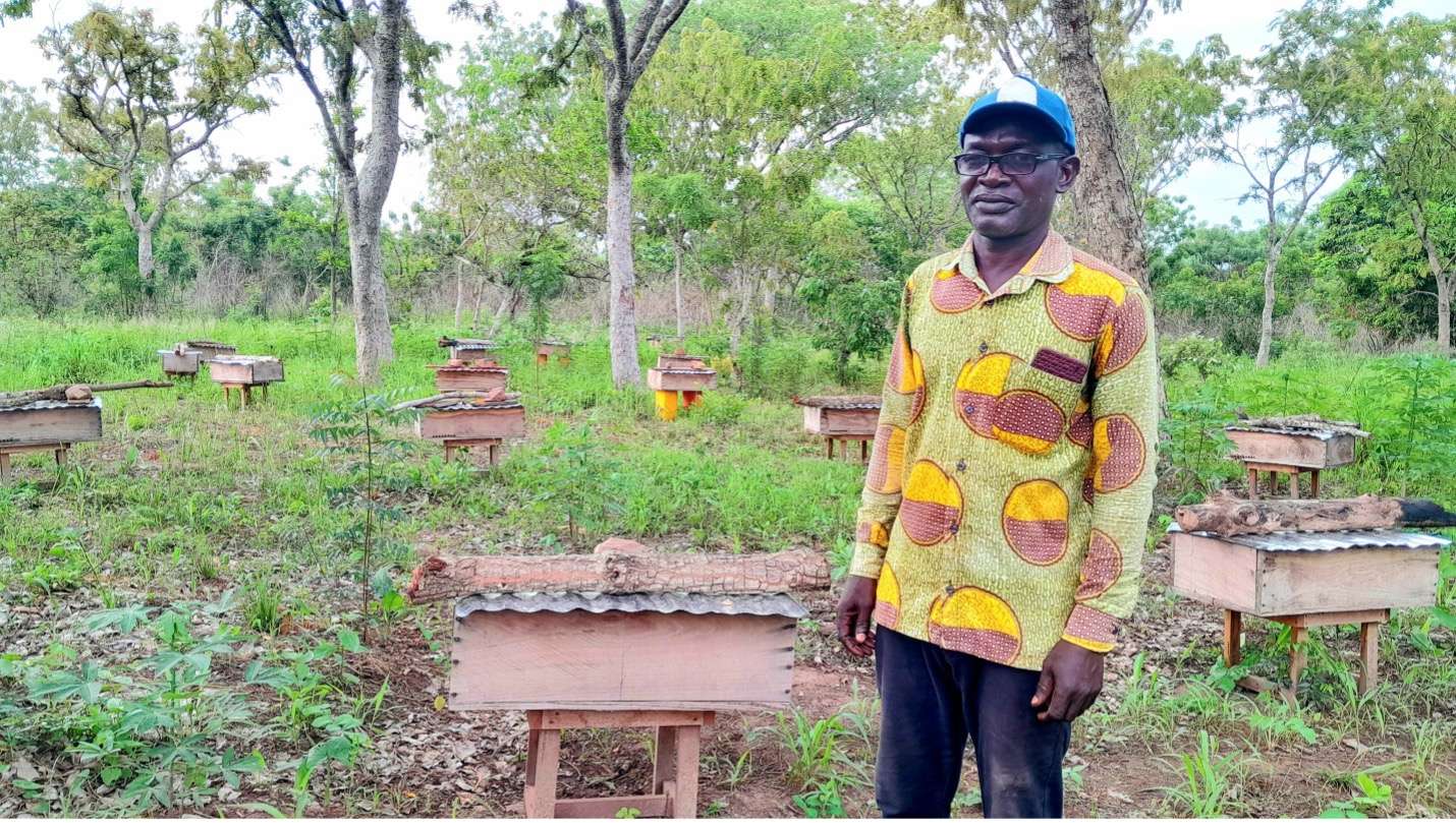 The Buzz Club Ghana Project: Inspiring Young Beekeepers and Conserving Biodiversity
