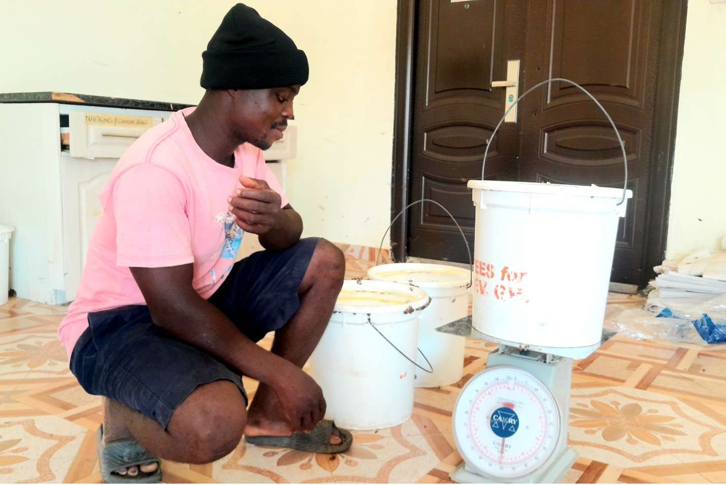 From Reluctance to Resilience: The Inspiring Beekeeping Journey of Mawuko Kpeglo